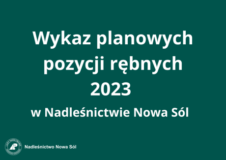 Wykaz planowanych pozycji rębnych w roku 2023 w Nadleśnictwie Nowa Sól
