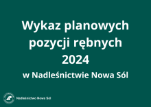 Wykaz planowanych pozycji rębnych w 2024 roku w Nadleśnictwie Nowa Sól
